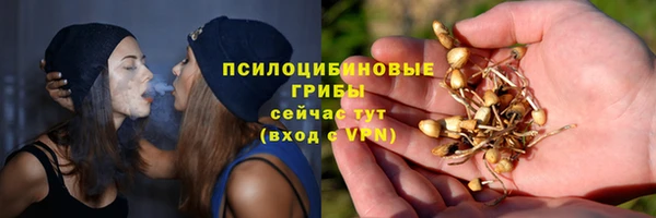 a pvp Медвежьегорск
