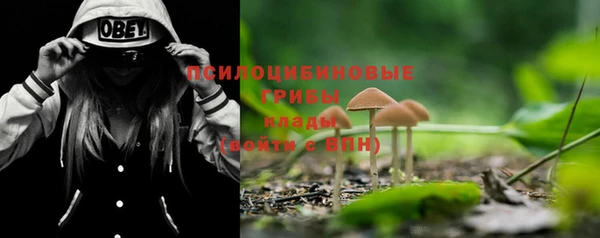 кокаин перу Михайлов