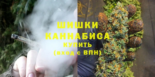 спиды Медногорск