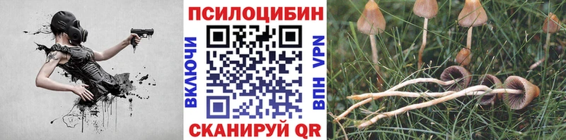 купить закладку  Павловск  Галлюциногенные грибы Cubensis 